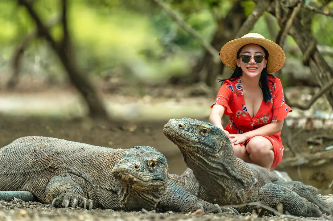 Explore The Exotic Home Of Komodo Dragon In Rinca Island UNESCO World 