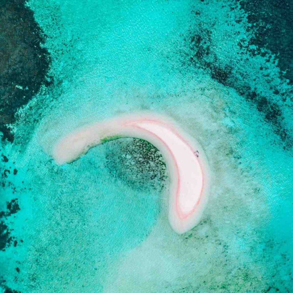 Taka Makassar | Komodo Island Tour | Komodo Luxury