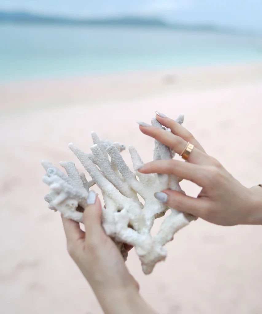 Pink Beach Komodo Island | Komodo Luxury