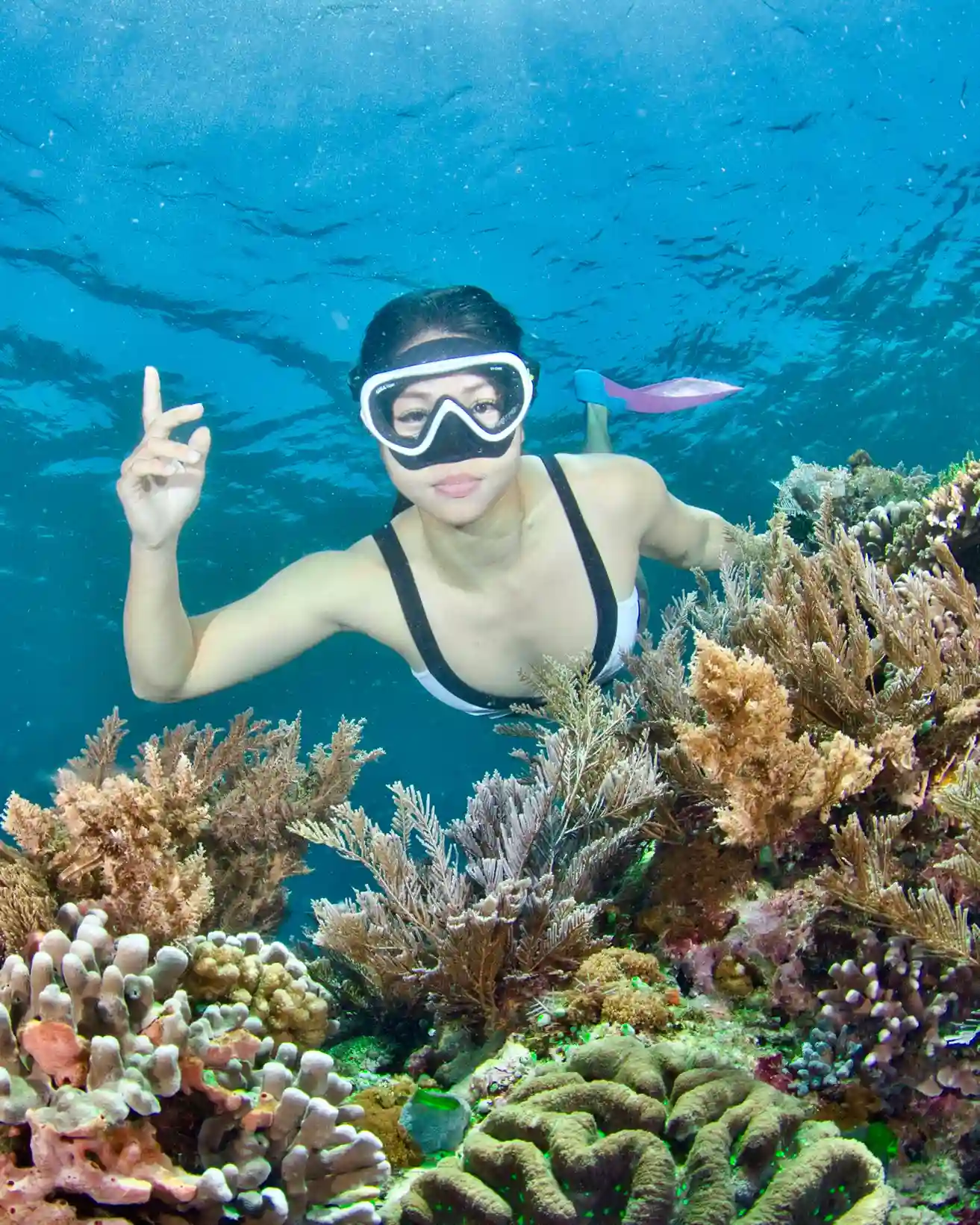 Snorkeling Labuan Bajo | Water Activities | Komodo Luxury
