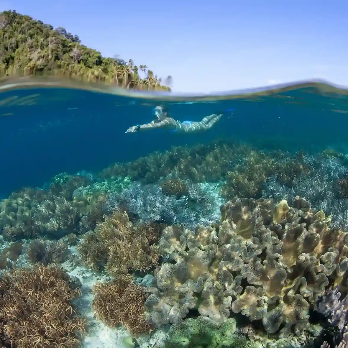 Arborek - Komodo Luxury