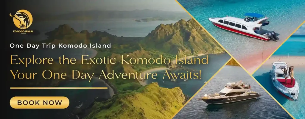 Banner One Day Trip Komodo Island