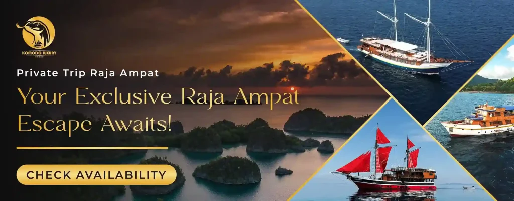 Banner Raja Ampat Tour packages