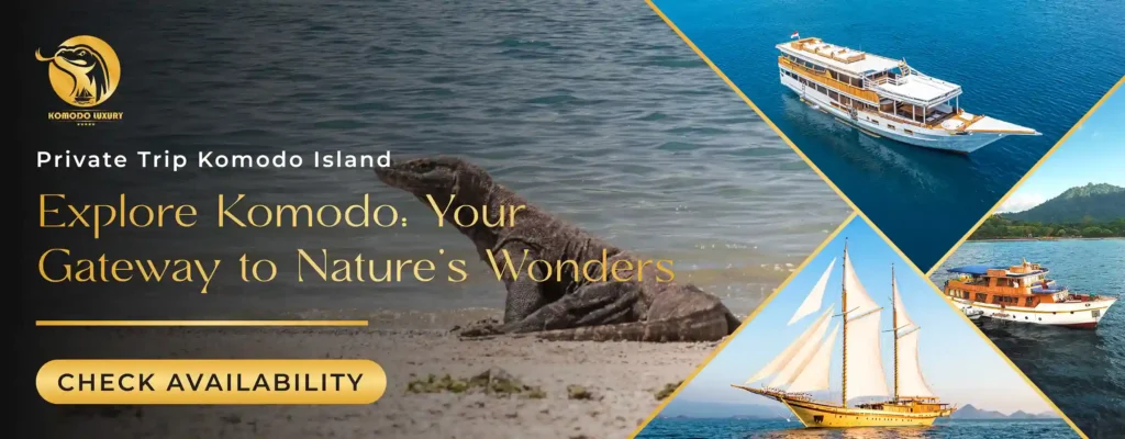 Banner Private Tour Komodo Island