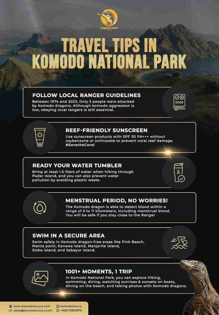 Infographic - Travel Tips in Komodo Island, Komodo National Park