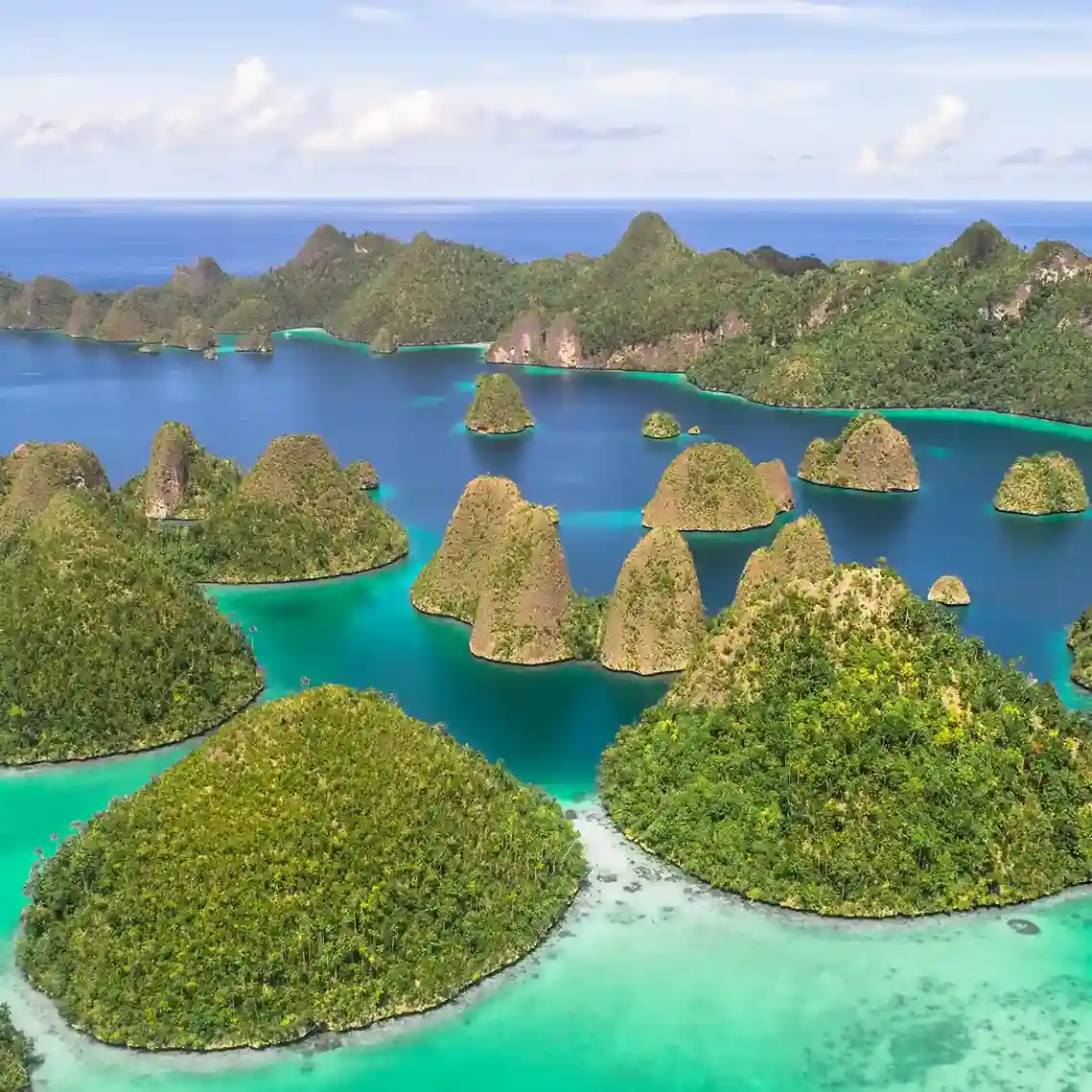 Raja Ampat Birdwatching Explore Rare Birds Stunning Island Locations Raja Ampat Birdwatching Explore Rare Birds Stunning Island Locations