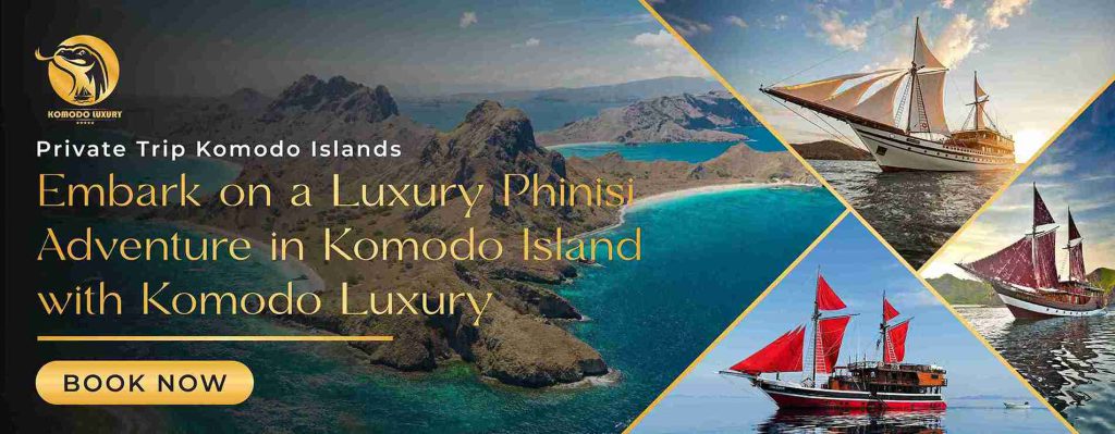 Banner Private Tour Komodo Island