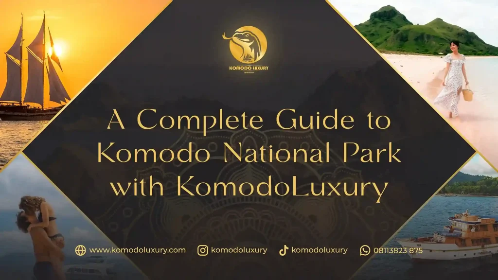 Complete guide to Komodo National Park with Komodo Luxury