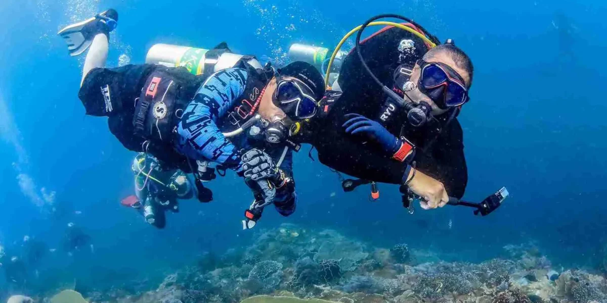 Private Komodo Yacht Charter with Dive Master: Exclusive Liveaboard Diving in Komodo National Park