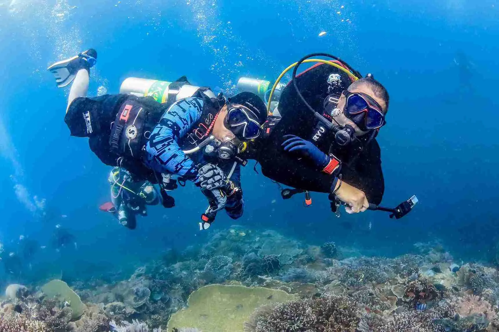 Private Komodo Yacht Charter with Dive Master | Komodo Liveaboard | Komodo Luxury