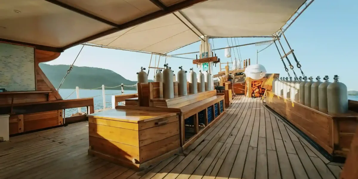 Best Diving Yacht Komodo: Elevate Your Komodo Diving Experience