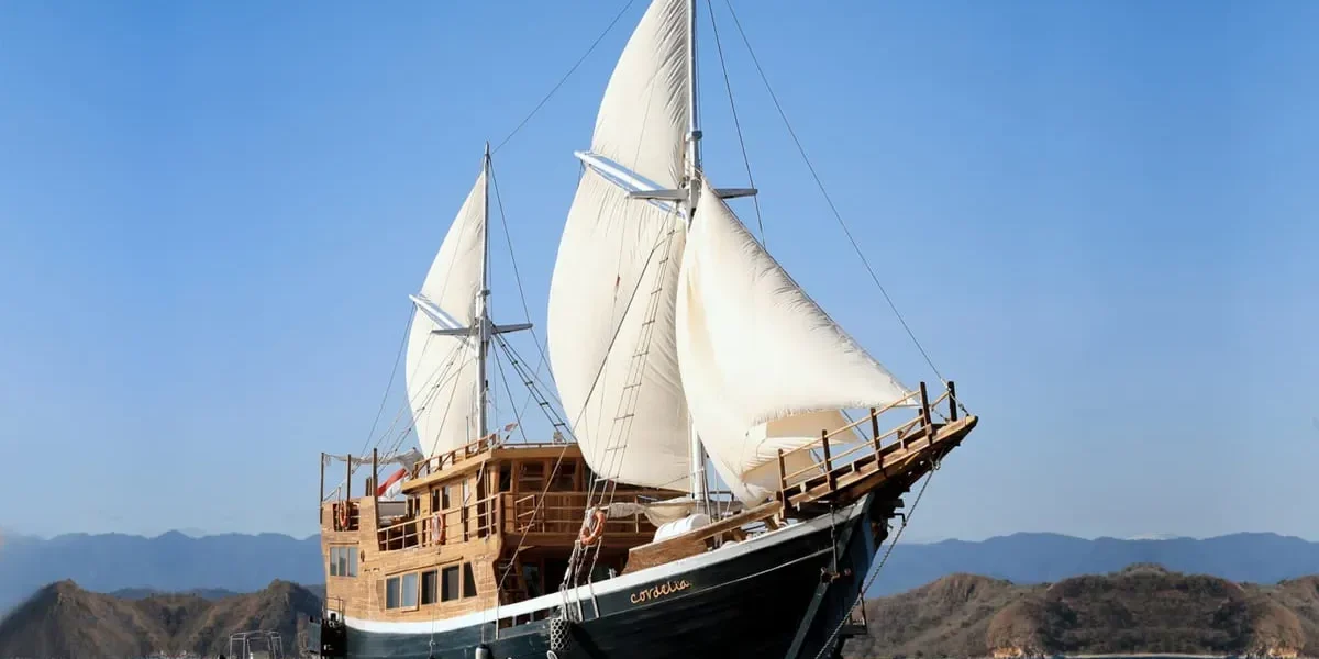 Cordelia Phinisi Review: A Well-Balanced Liveaboard Experience for Exploring Komodo