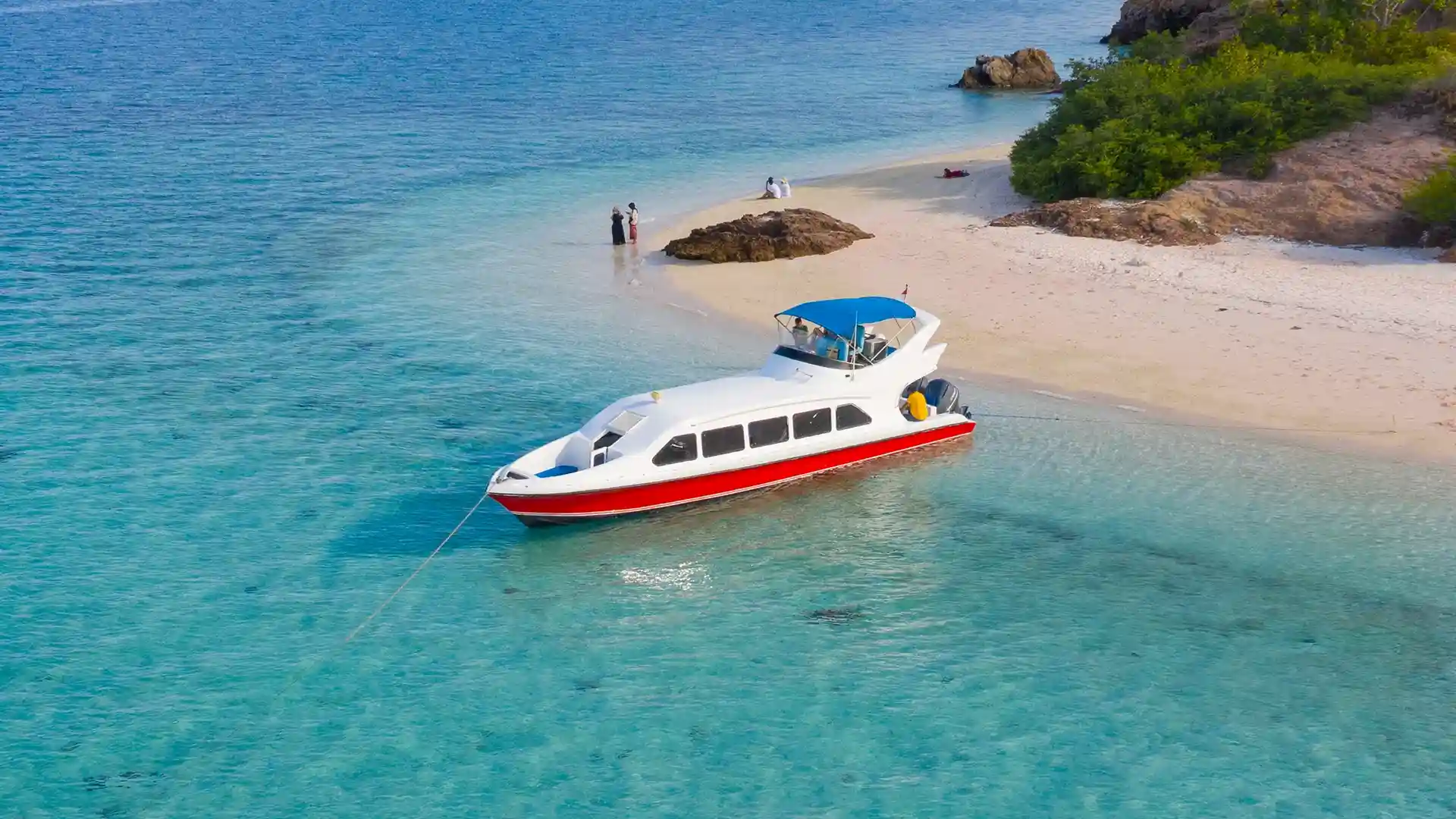 D1 Speedboat Charter by Komodo Luxury