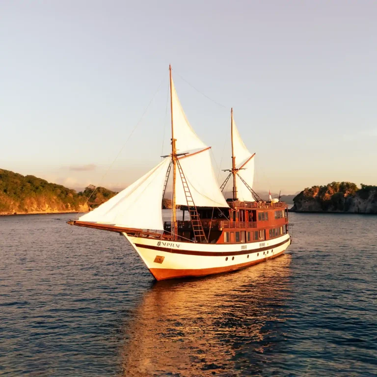 The Neptune phinisi under sail near a forested shore