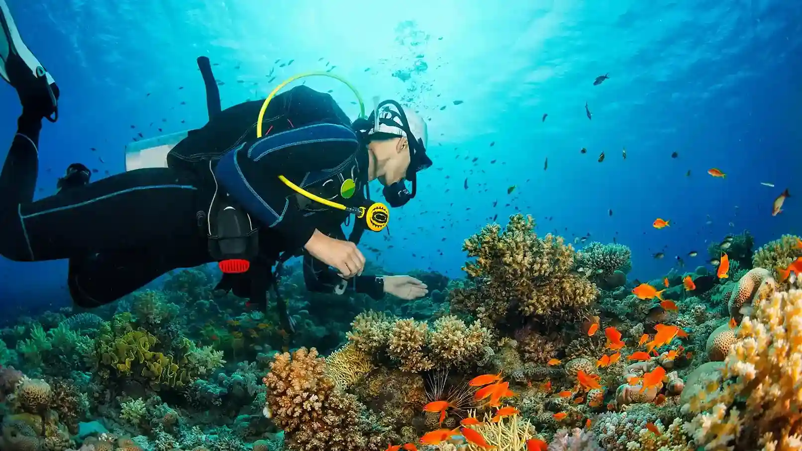 Diver finning over a coral reef below a phinisi | Komodo Luxury