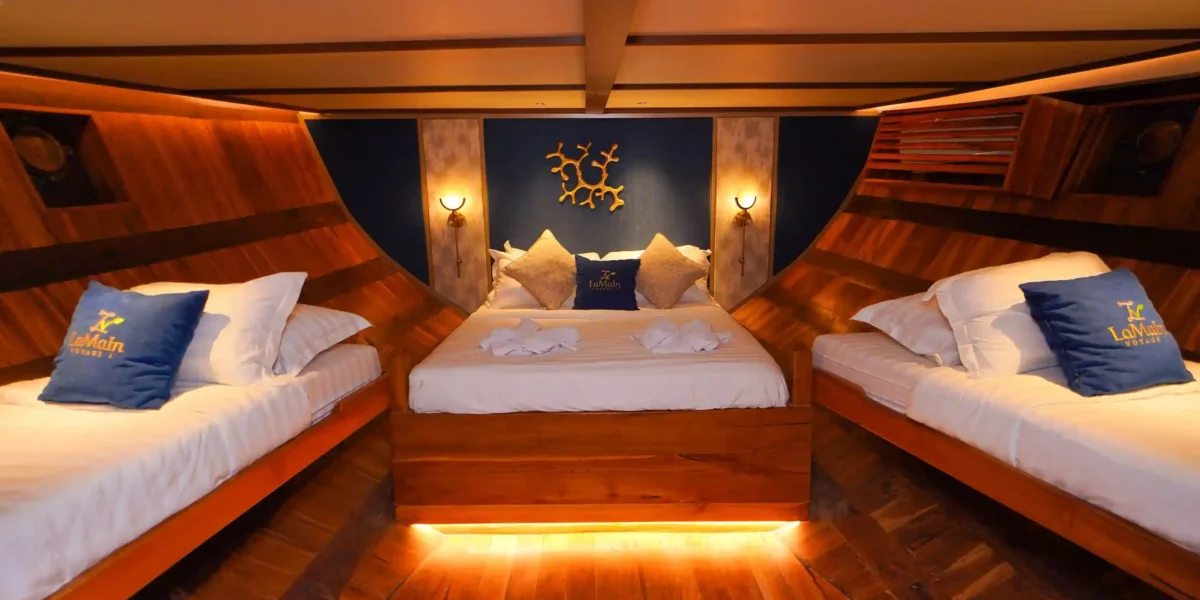 lamain 1 family cabin