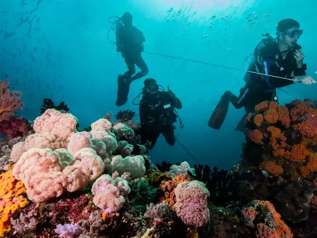 Diving in Raja Ampat