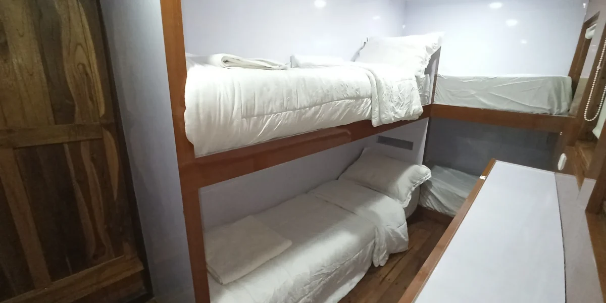 riley shared cabin 2