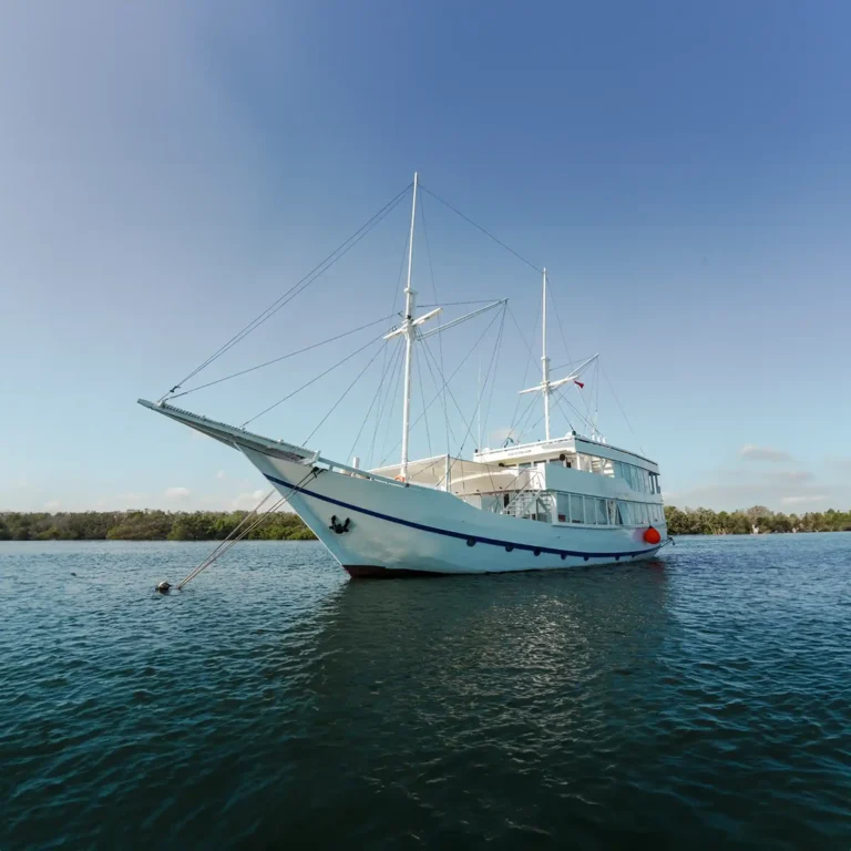 The Mosalaki phinisi anchored off a wooded shoreline
