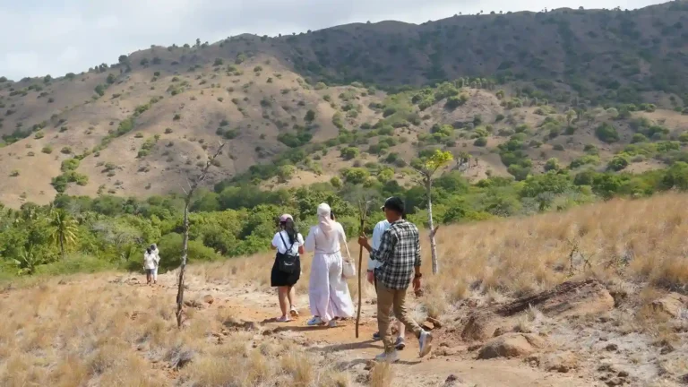 The trekking track on Rinca Island