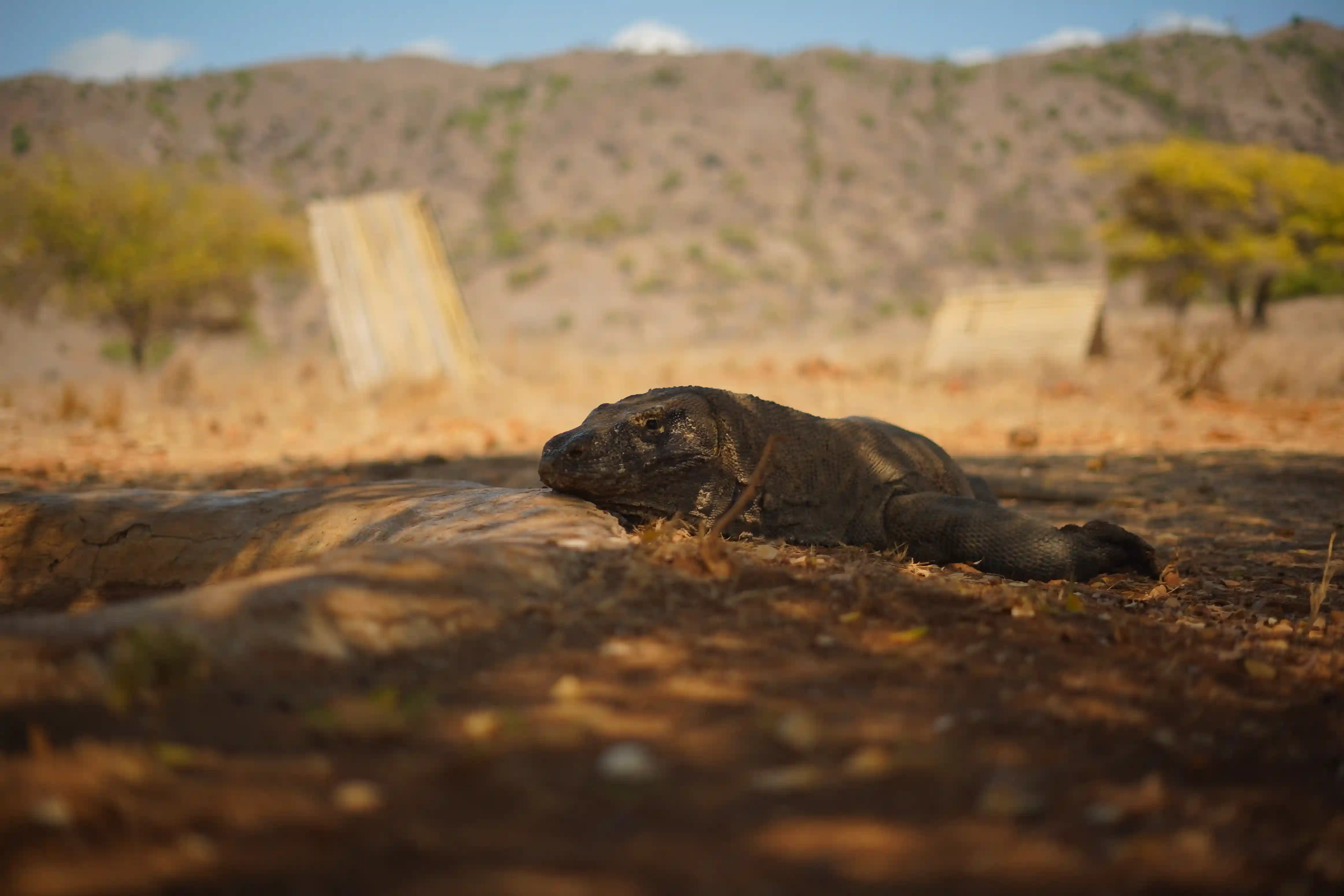 What’s Included in Your Komodo Boat Charter Price