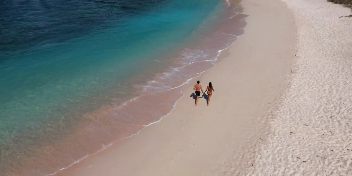 Pink Beach on Komodo National Park | Komodo Island | Komodo Tour
