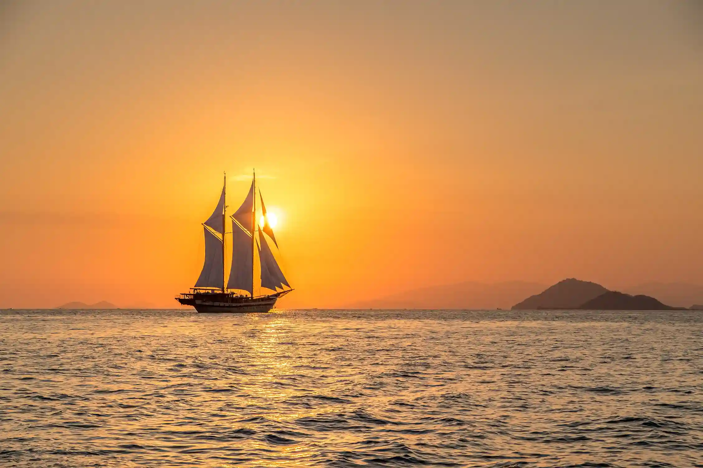 Komodo Tour Form Background