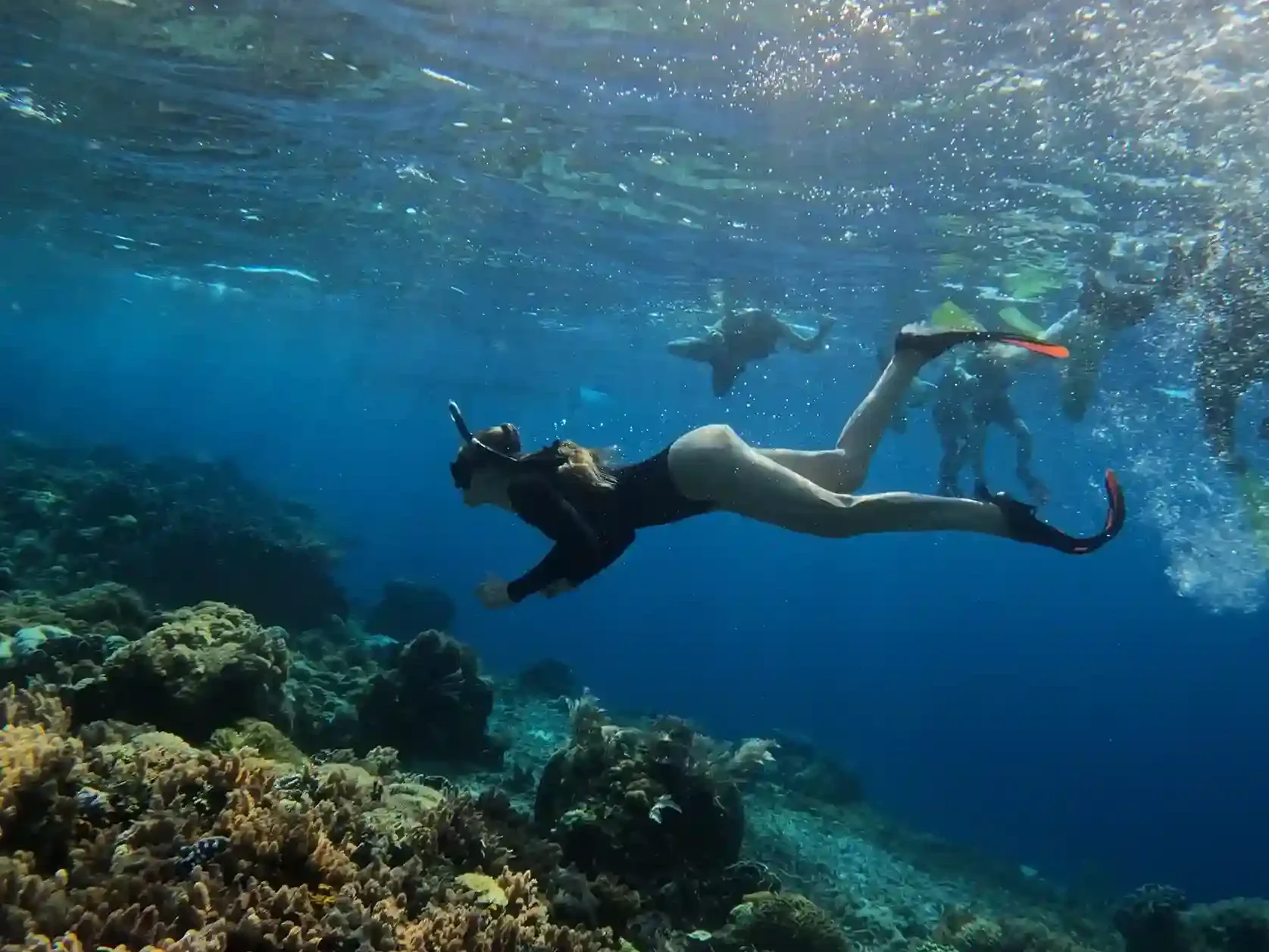 Last Snorkel Stop