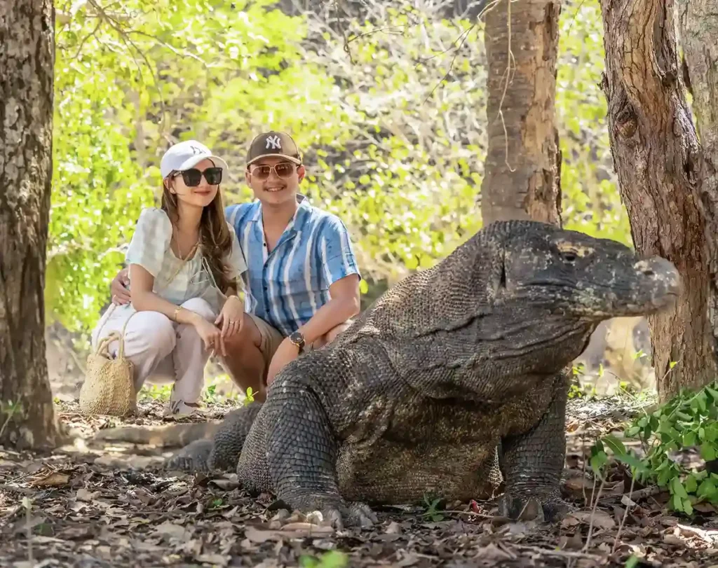 Komodo Island on Rinca Island | Komodo Tour | Komodo Luxury