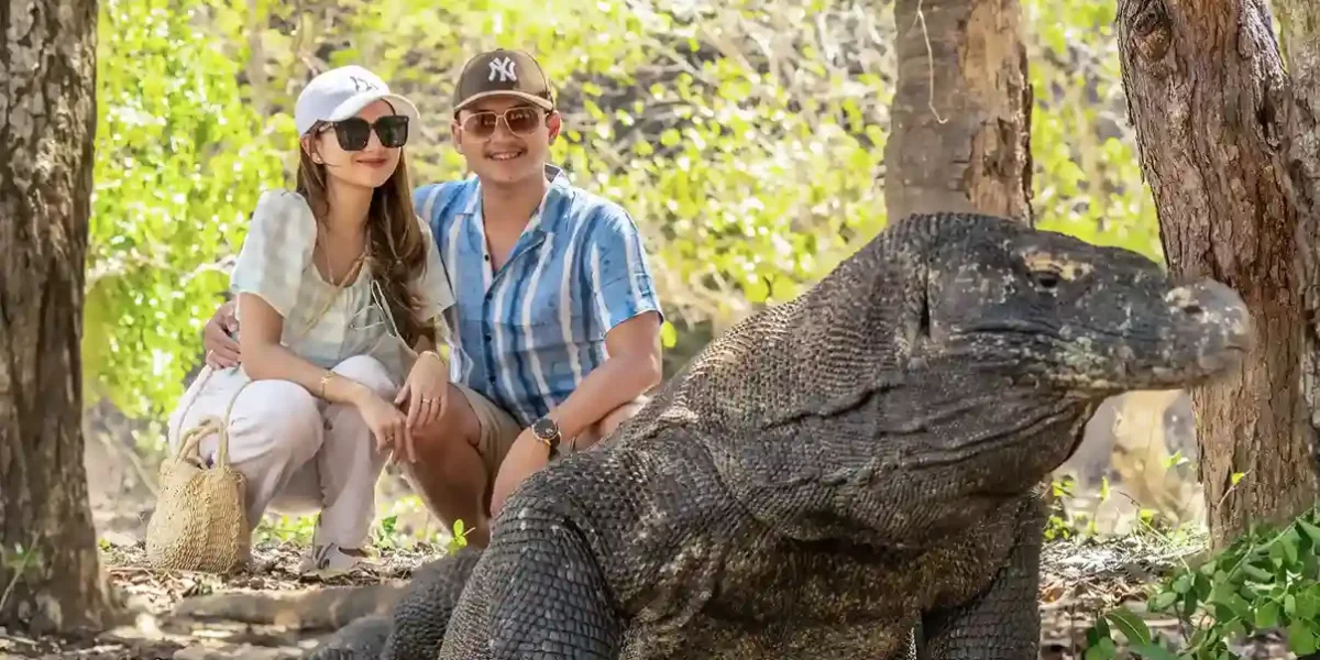 Isla de Komodo Rinca | Tour Komodo Komodo Luxury