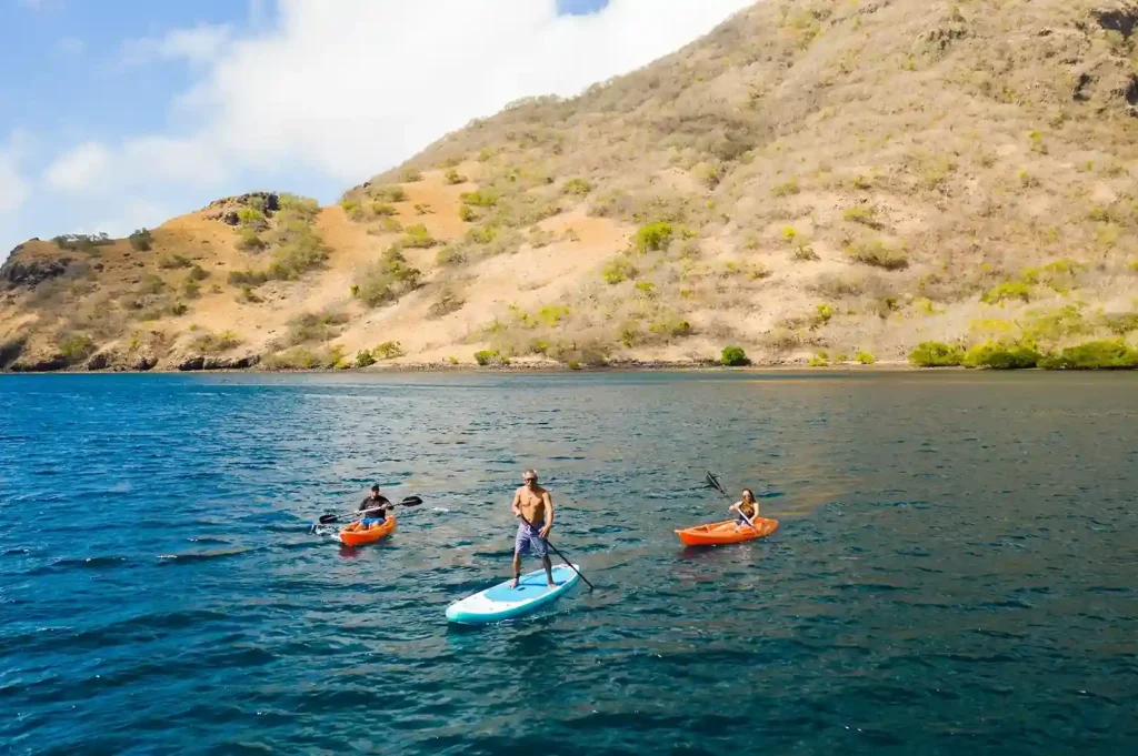 Paddleboarding & Kayaking | Water Activity | Komodo Luxury