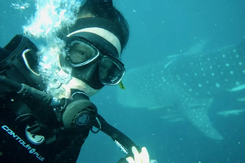Diving with Whale Shark in Triton Bay | Triton Bay Kaimana Tour | Komodo Luxury