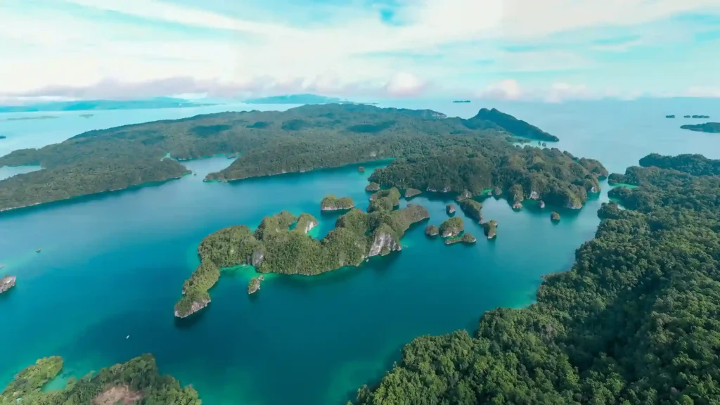 Stunning Karst Island in Triton Bay | Triton Bay Kaimana Tour | Komodo Luxury