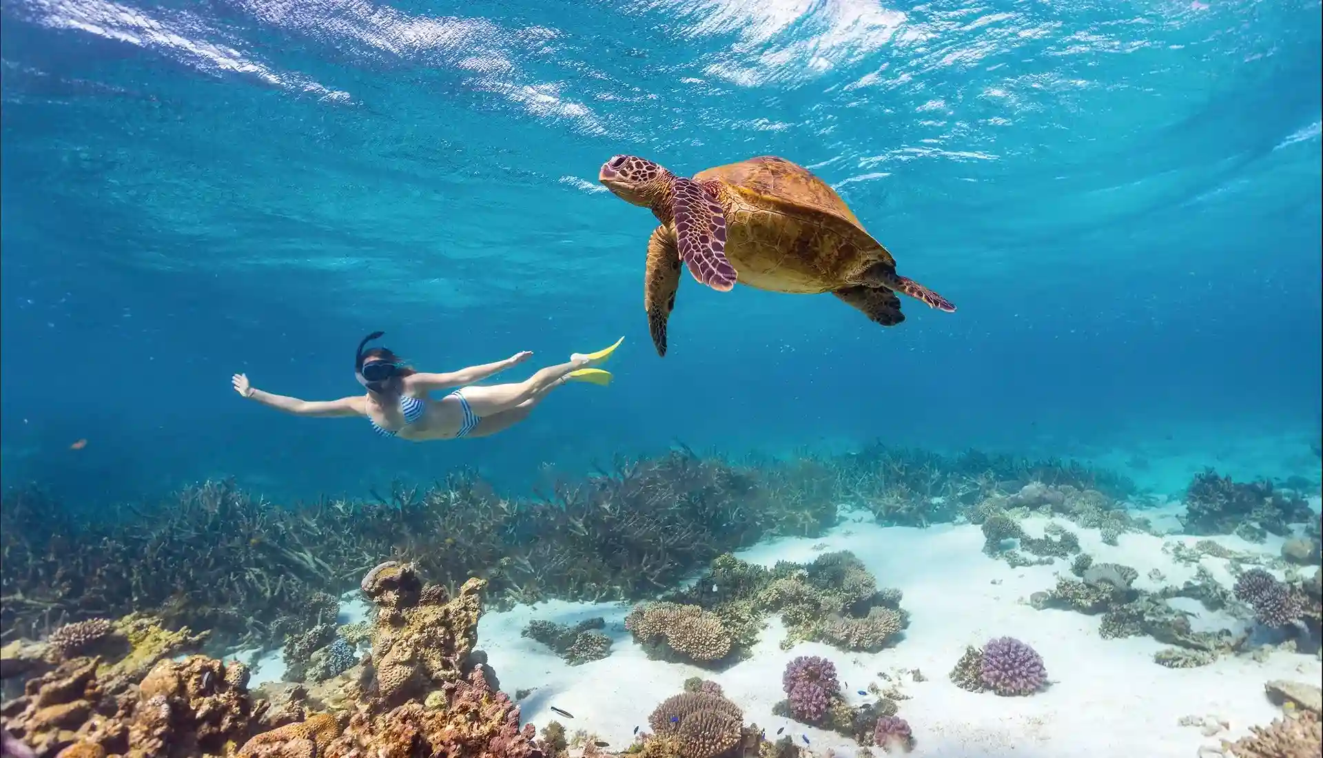 Remote Snorkel Sites