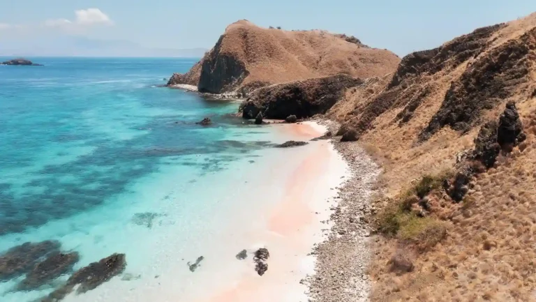 The pink sand and clear water of Pink Beach in Komodo National Park
