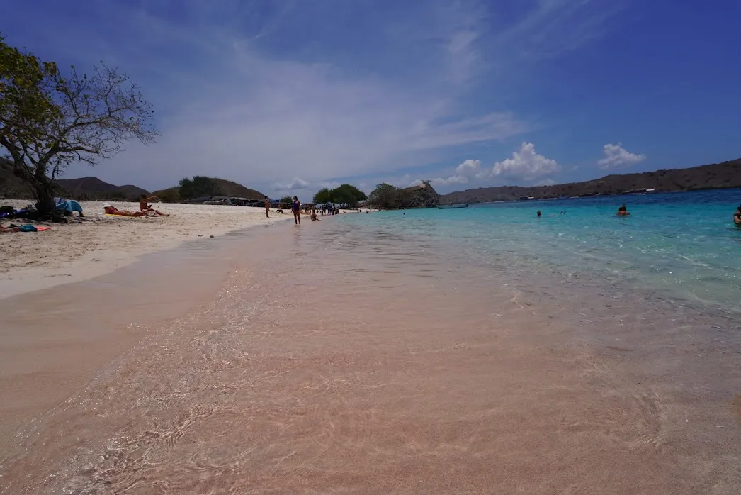 Pink Beach Lombok Island — Frequently Asked Questions