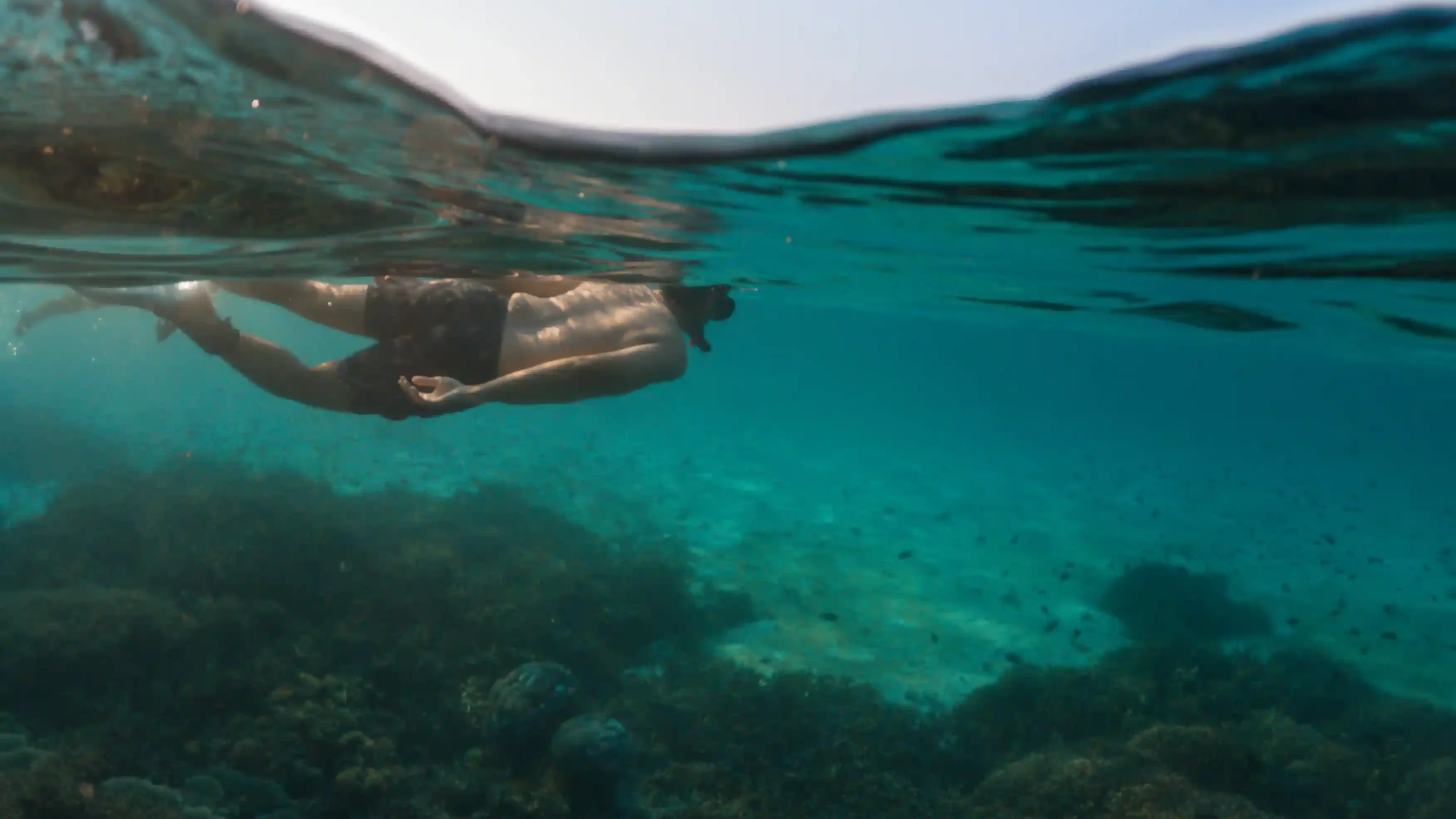 Diving Conditions