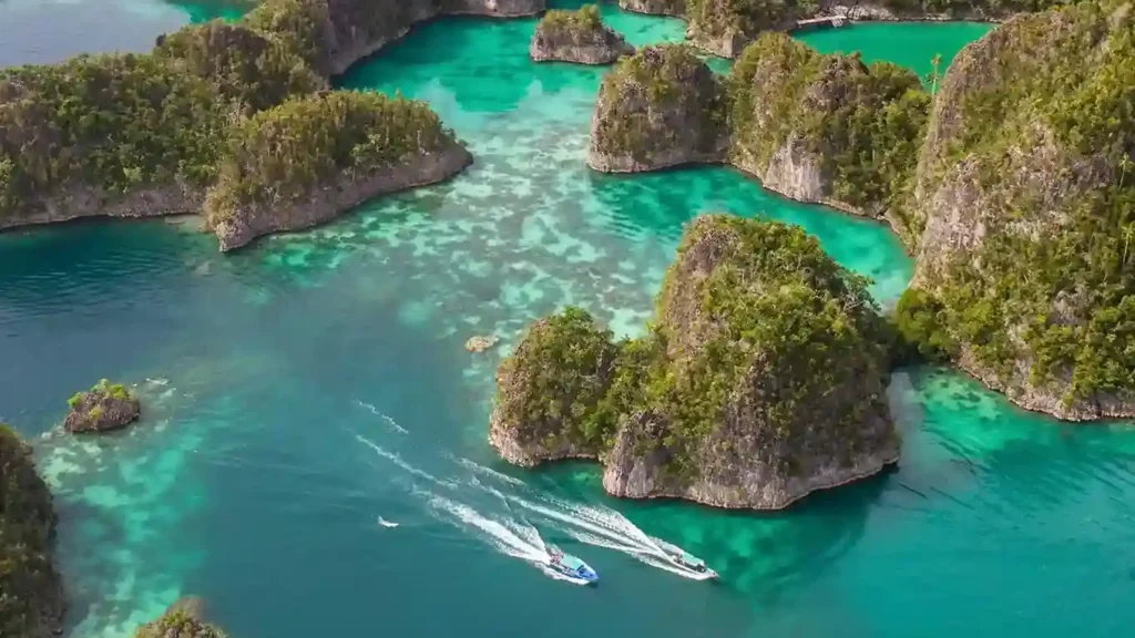 Raja Ampat | Raja Ampat Liveaboard | Komodo Luxury