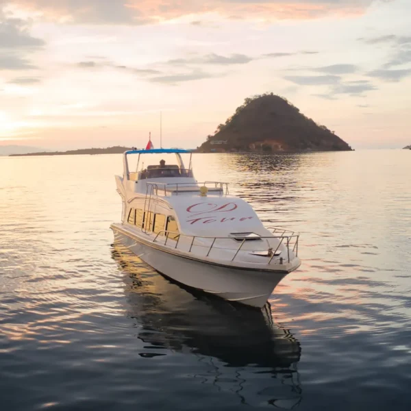 D3 Speedboat - KomodoLuxury