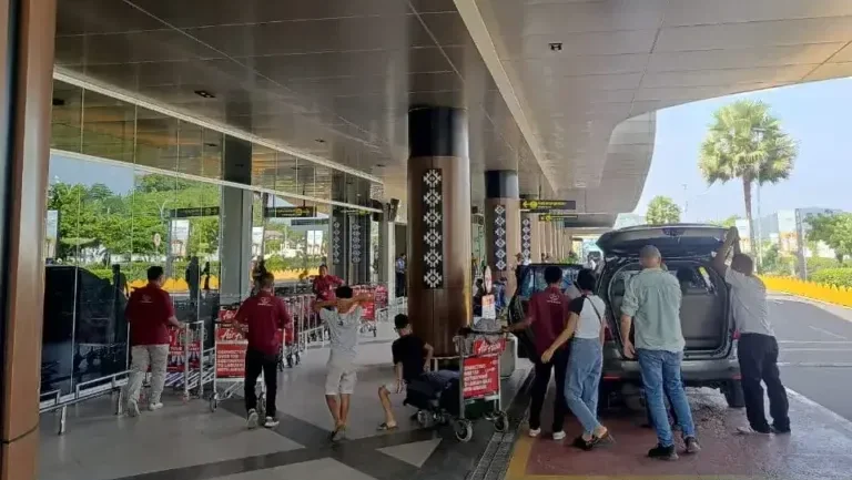 Pick-Up Komodo Airport Transport | Komodo Luxury