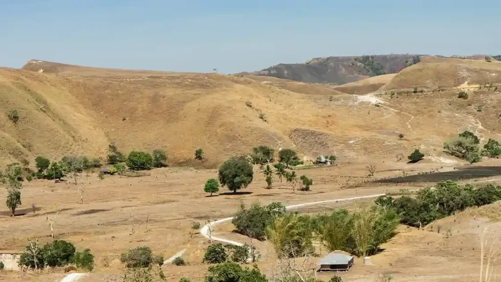 Puru Kambera Sumba | Sumba Tour by IndonesiaJuara Trp