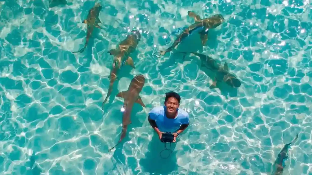 Shark Point Wayag Island | Raja Ampat Liveaboard | Komodo Luxury