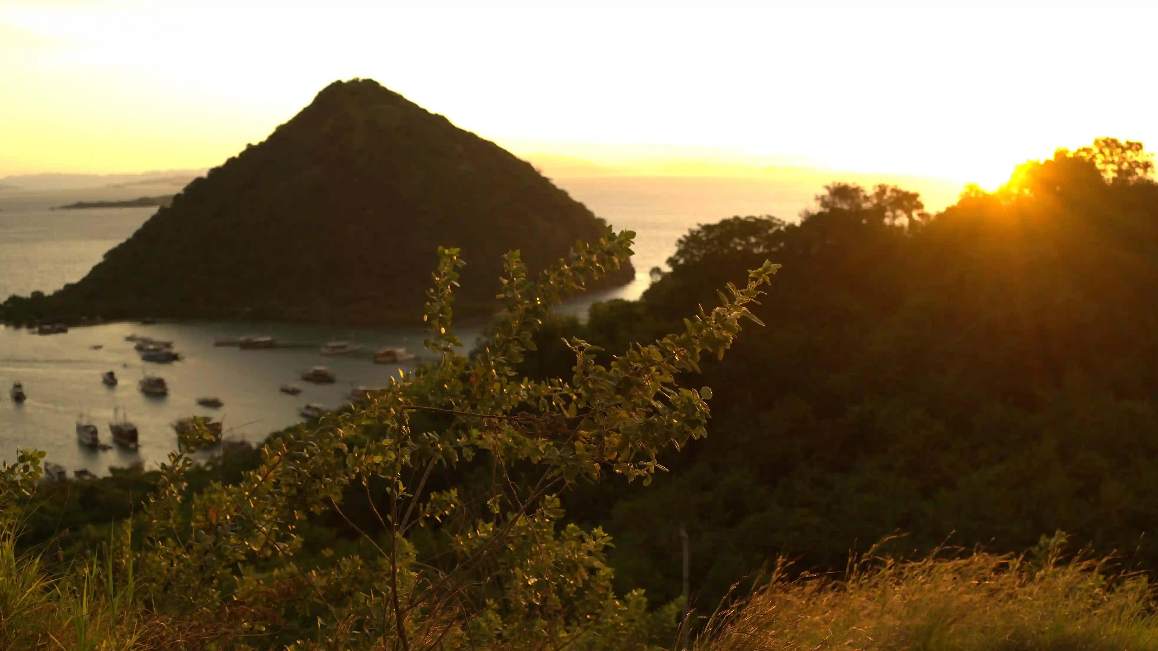 Sylvia Hill Labuan Bajo