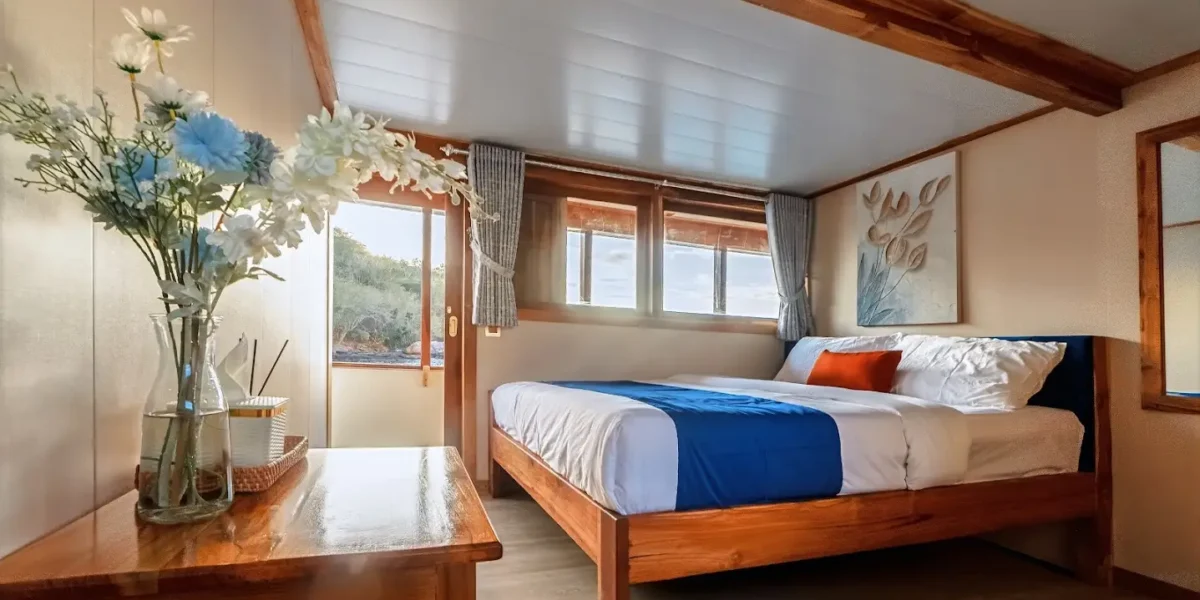 Ayvara Cruise Boat Charter | Ayvara Cruise Deluxe Ocean View Cabin | Komodo Tour | Komodo Luxury