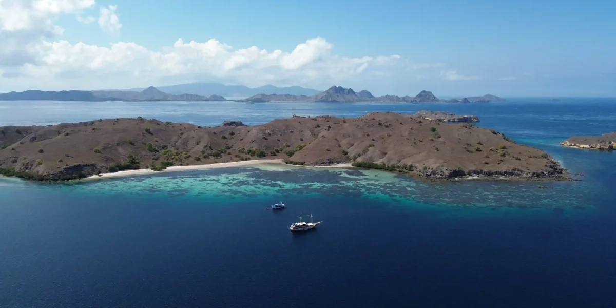 Komodo Island | Komodo Island Tour | Komodo Luxury