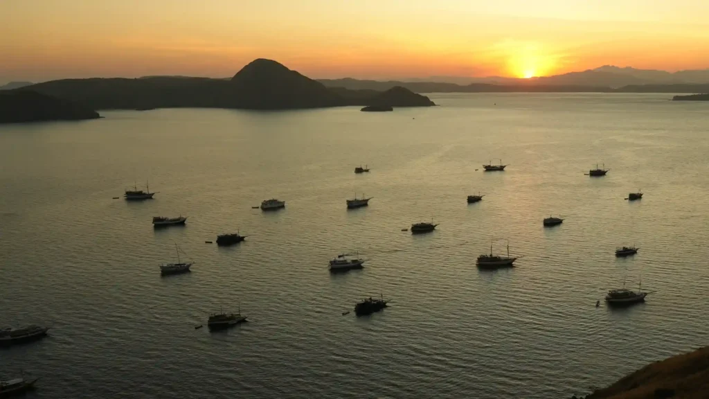 Komodo Island | Komodo National Park | Komodo Island Tour | Komodo Luxury