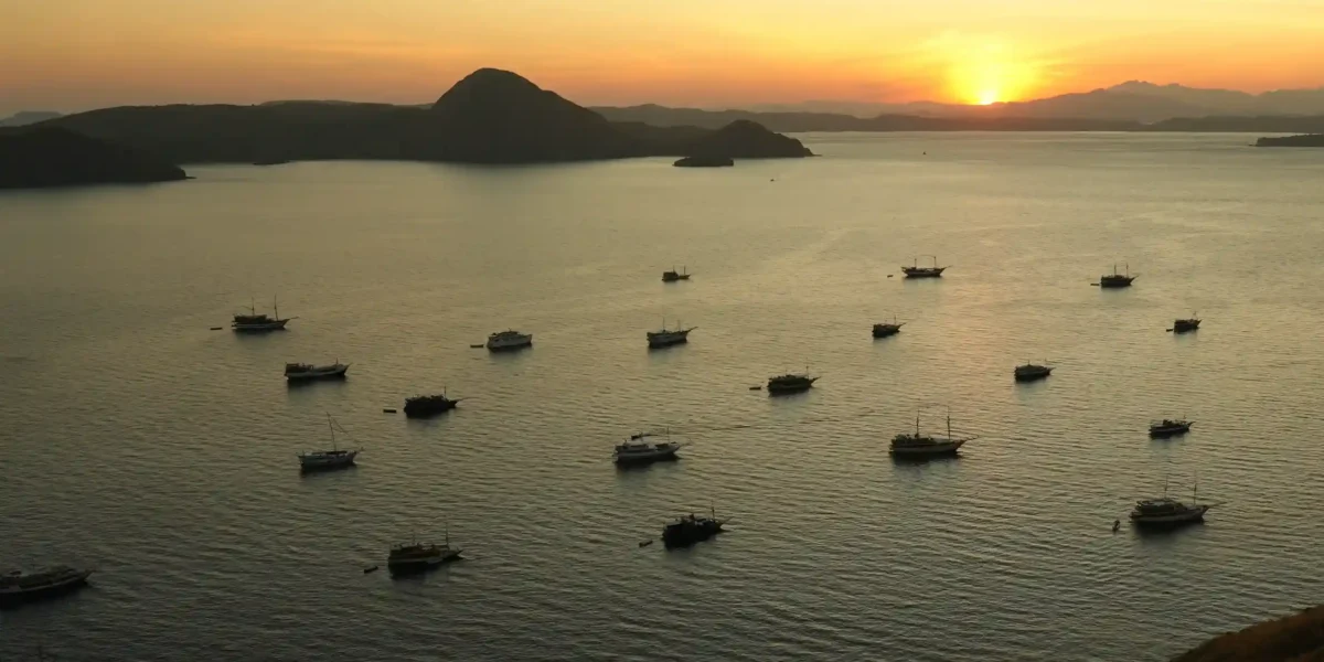 Komodo Island | Komodo National Park | Komodo Island Tour | Komodo Luxury