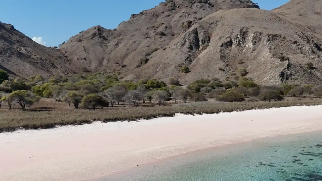 Pink Beach Komodo | Komodo Island Tour | Komodo Luxury