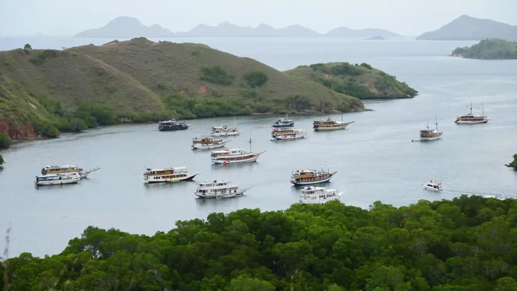 Sailing Through Komodo | Komodo Island Tour | Komodo Luxury