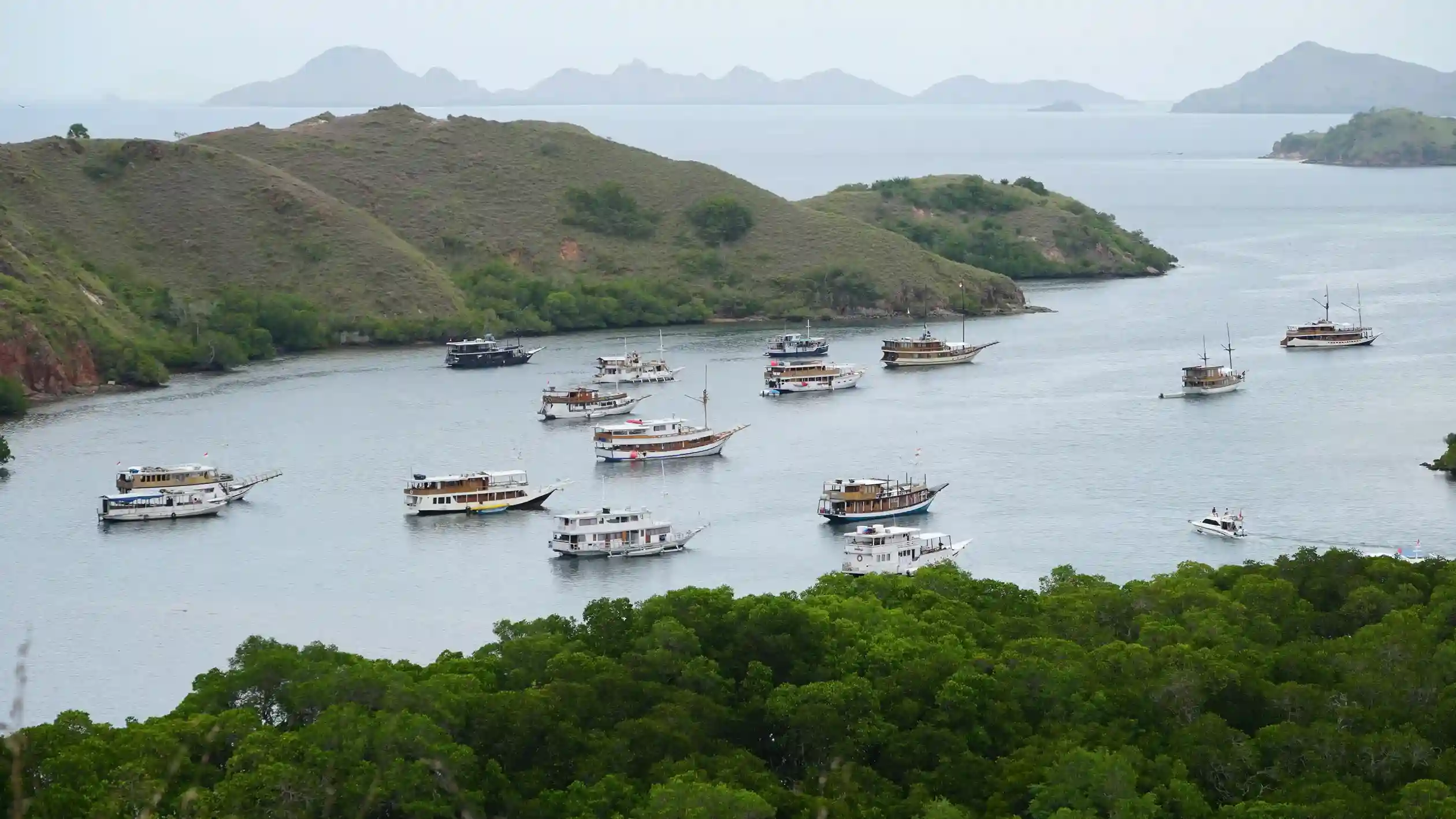 A chartered Phinisi anchored in a quiet bay